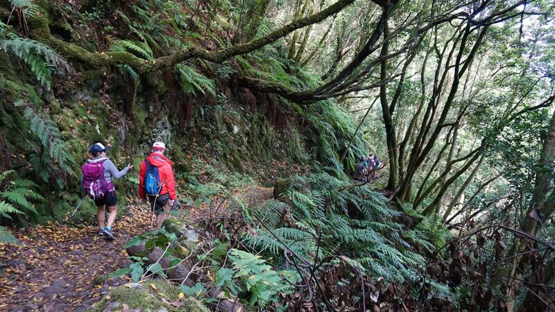 Hiking Anaga Rural Park, Tenerife