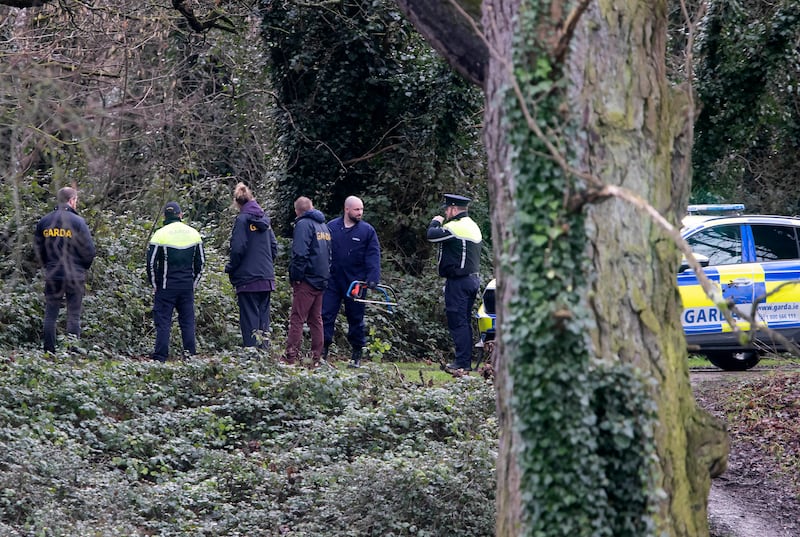 Gardaí search woodland at Santry Demesne as part of the investigation into missing Icelandic man Jón Jónsson. Photo: Colin Keegan/Collins Dublin