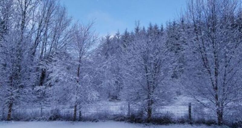 Snow in Carrigallen in Co Leitrim on Sunday morning. Photograph: Kevin McManus