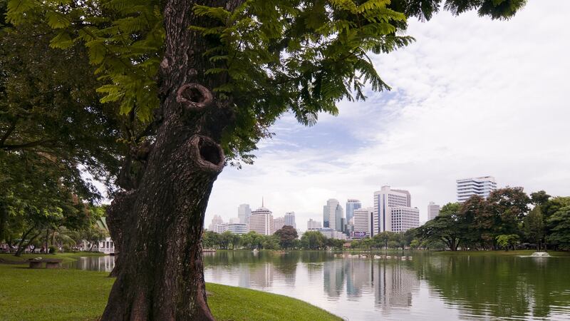 Take a stroll through Lumphini Park, Bangkok. Photograph: Karsten Bidstrup/Getty Images