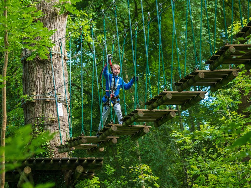 With three locations around Ireland, Zipit is always a great day out. Photograph: Gareth McCormack