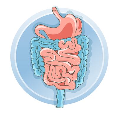 A 2018 review showed that of 67 patients on TPN at home, 77 per cent had experienced at least one major complication. Illustration: Getty Images 