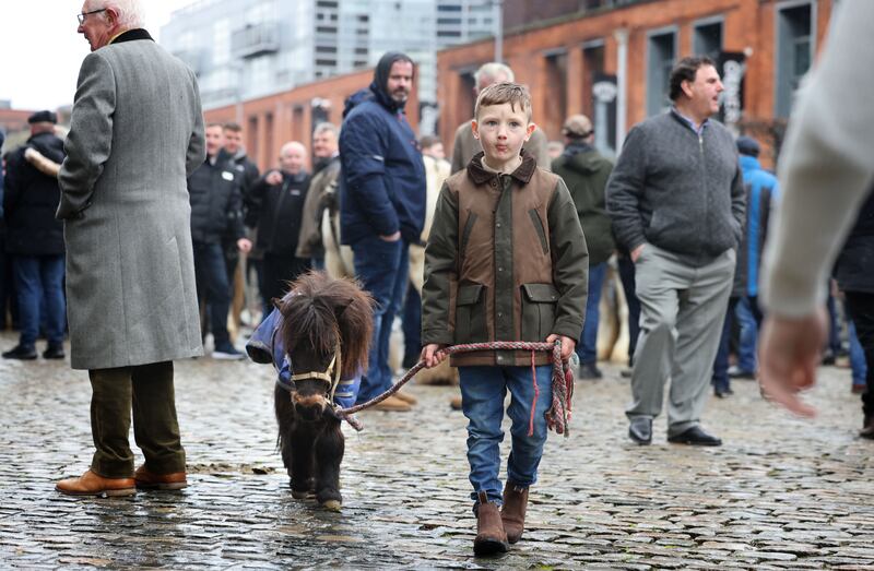 Tommy Cross, from Limerick with Mini, at the Smithfield Horse Fair in Dublin.
