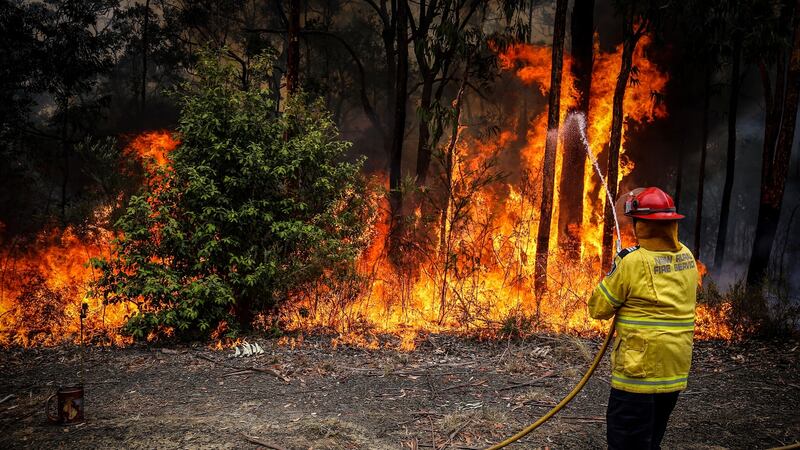 A rural fire service volunteer douses a fire in  Kulnura, New South Wales, Australia. Photograph: Bloomberg