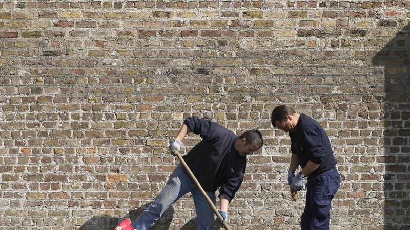 OPW gardeners planting bare-root asparagus in Ashtown Walled garden in the Phoenix Park, Dublin. Photograph: Richard Johnston