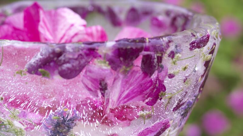 You can use roses in a decorative ice punch bowl. Photograph: Richard Johnston