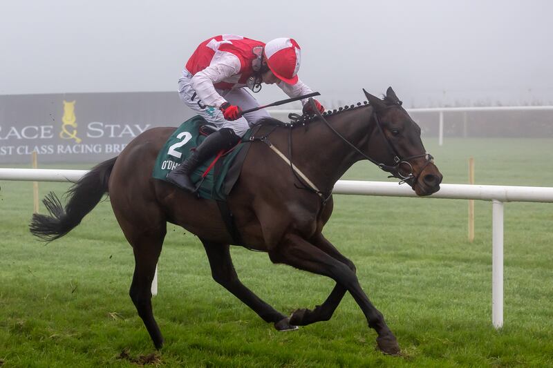 For Hello Neighbour, there’s little alternative but to take in Saturday’s race en route to the Triumph Hurdle at Cheltenham. Photograph: Inpho