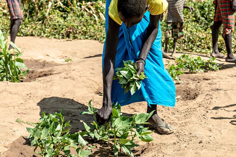 As part of the emergency response Concern Worldwide supported the rehabilitation of the Naoros water system to provide water for multiple use including the growing of crops. Photograph: Natalia Jidovanu/Concern Worldwide