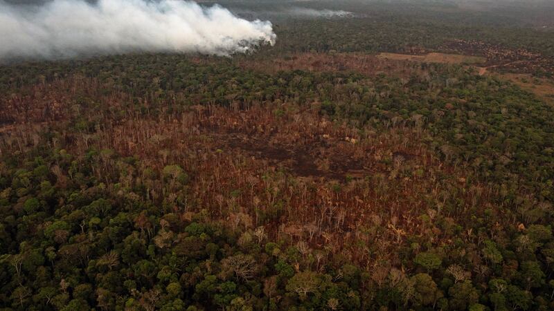 In Brazil, deforestation reached a 12-year high last year. Photograph:  Victor Moriyama/New York Times