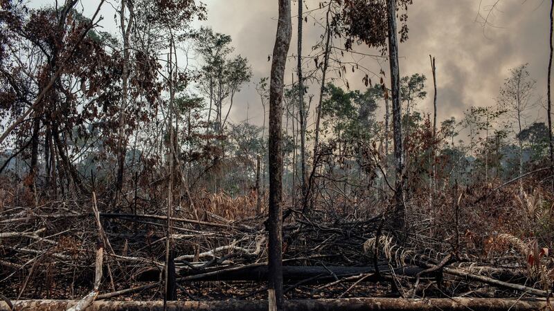 Smoke rises as fires burn in the Amazon rainforest near Porto Velho. Photograph: Victor Moriyama/The New York Times