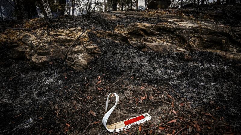 The remains of a melted road reflector sits in burned bushland  near the town of Kulnura, New South Wales