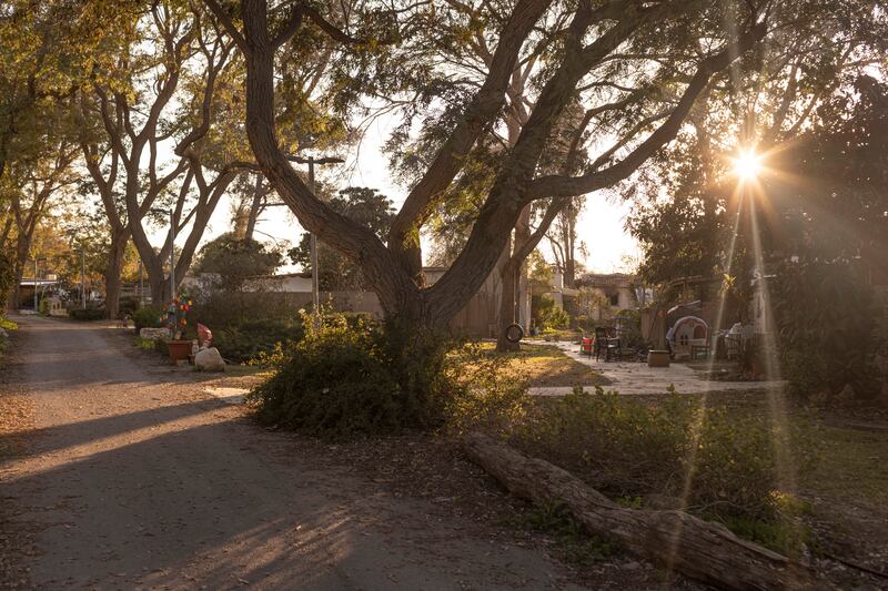 The path where the Bibas family was kidnapped on October 7th, 2023, in Nir Oz, a kibbutz along the Israeli border with the Gaza Strip. Photograph: Avishag Shaar-Yashuv/New York Times
                      