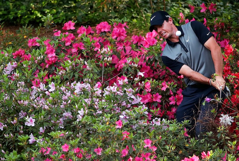 Rory McIlroy in the the azalea bushes behind the 13th green during the second round of the 2014 Masters. Photograph: Andrew Redington/Getty Images