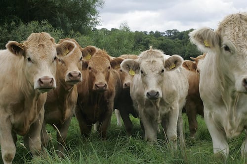 Goodman’s ABP gets approval to take over organic beef producer