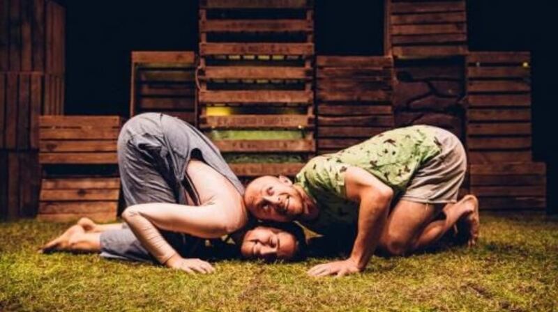 ‘Grass’ presented by Second Hand Dance Company. Photograph: Brian Hartley