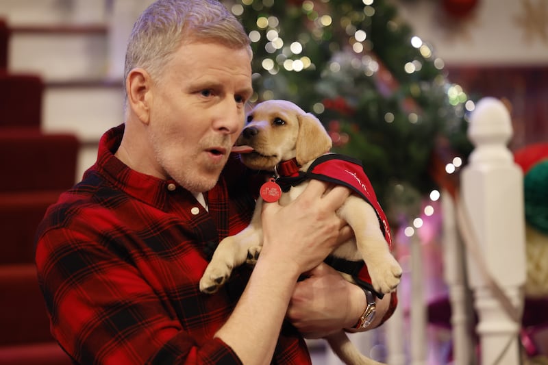 Star, puppy in training, with Patrick Kielty. Photograph: Andres Poveda