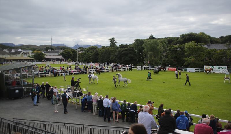 Crowds at the 98th annual Connemara Pony Show in Clifden Co Galway. Photograph: Bryan O’Brien/The Irish Times 