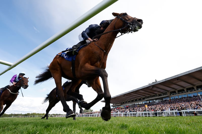 City Of Troy: is a general 6/4 favourite to finally deliver Breeders Cup Classic glory. Photograph: Steven Paston for The Jockey Club/PA Wire.
