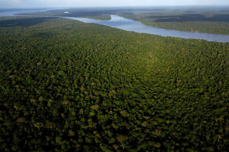 The Amazon spans an area twice the size of India (AP Photo/Eraldo Peres)