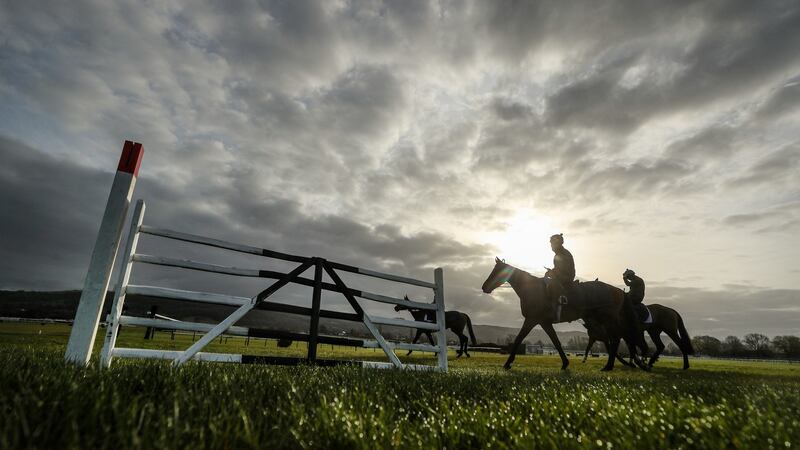 Horses from Henry de Bromhead’s yard on the gallops at Cheltenham on Monday. Photograph: David Davies/PA Wire