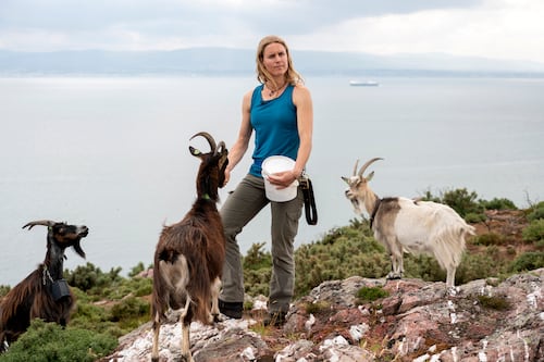 What I Do: ‘When I saw the job for a goat herder in Howth, I couldn’t make sense of it’
