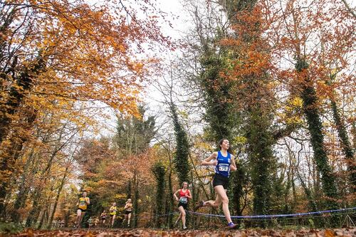 European Cross-Country in Dublin is cancelled due to Covid-19
