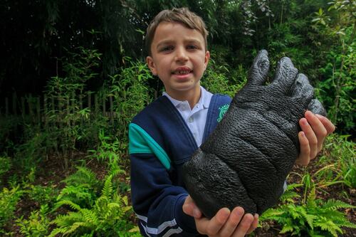 Stuffed animals are Dublin Zoo’s latest weapon for educating children