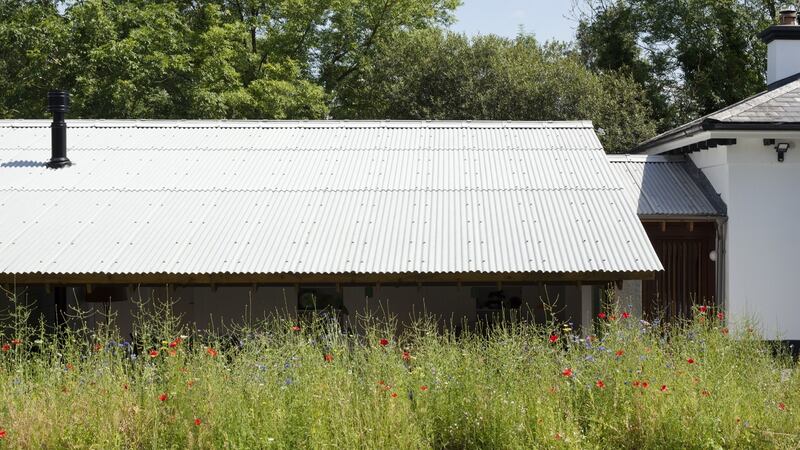 The meadow needs to be cut back once a year. Photograph: Alice Clancy