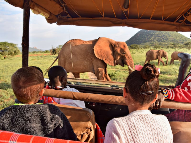 Experience the ultimate family safari in South Africa