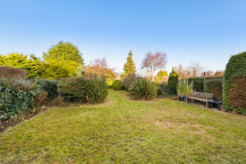 Rear garden extends to about 75ft. Photograph: Ronan Melia Photography