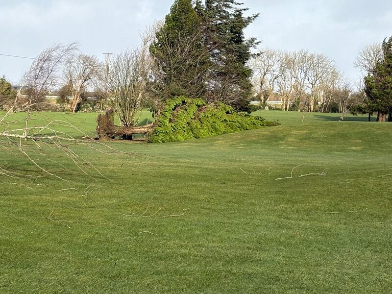 Storm Éowyn damage to Castlebar Golf Club. Photograph: Eoin Henshaw