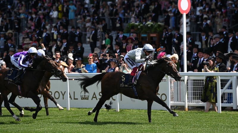 Lope Y Fernandez has yet to record a top level victory. File photograph: Getty Images