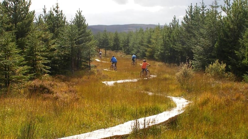 Pedal for your picnic along the Derroura Mountain Bike Trail