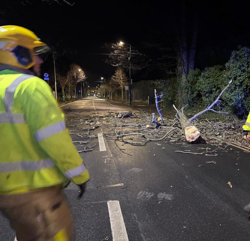 An image of a tree being cleared in Dublin on Friday morning. 