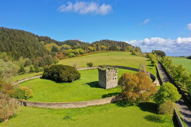 The estate includes the ruins of Kiltimon Castle