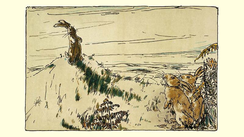 The Velveteen Rabbit, written by Margery Williams and illustrated by William Nicholson