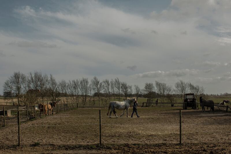 Near the border in Tonder, Denmark. Photograph: Emile Ducke/New York Times