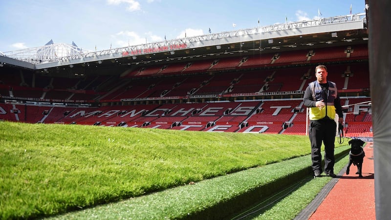 A sniffer dog works on the side of the pitch following the evacuation of Old Trafford stadium in Manchester on Sunday after a suspicious package was discovered. Photograph: Getty Images