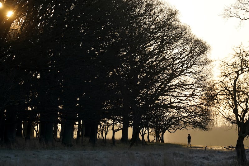 Ireland weather: A jogger braves the cold in Phoenix Park in Dublin, Ireland. Photograph: Brian Lawless/PA Wire