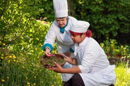 Creating a new recipe for mindful and sustainable kitchens