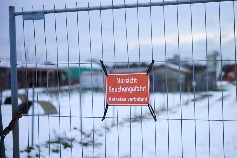 A sign that reads Caution risk of epidemic, on a fence at a farm in Mehrow, Germany (Annette Riedl/dpa /AP)