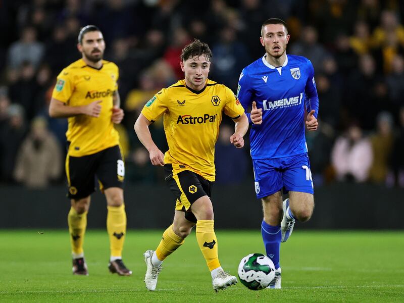 Joe Hodge of Wolves and Ireland. Photograph: David Rogers/Getty