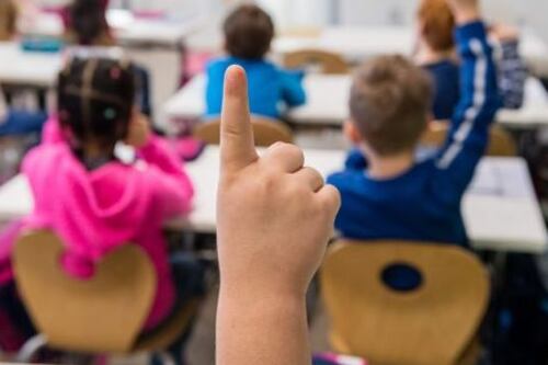 HSE working to recruit more therapists for schools - Rabbitte 