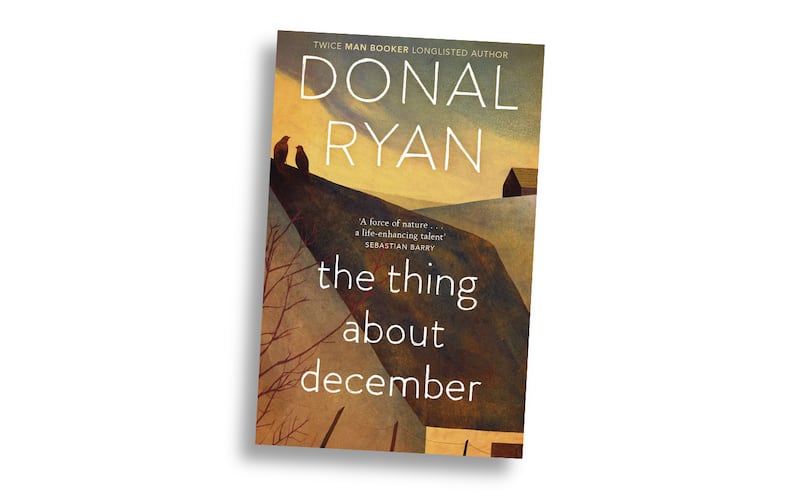 100 best Irish books of the 21st century - The Thing About December by Donal Ryan