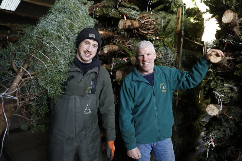 Martin Kelleher (right) a Christmas tree farmer, and his son, Darragh. Photograph: Nick Bradshaw