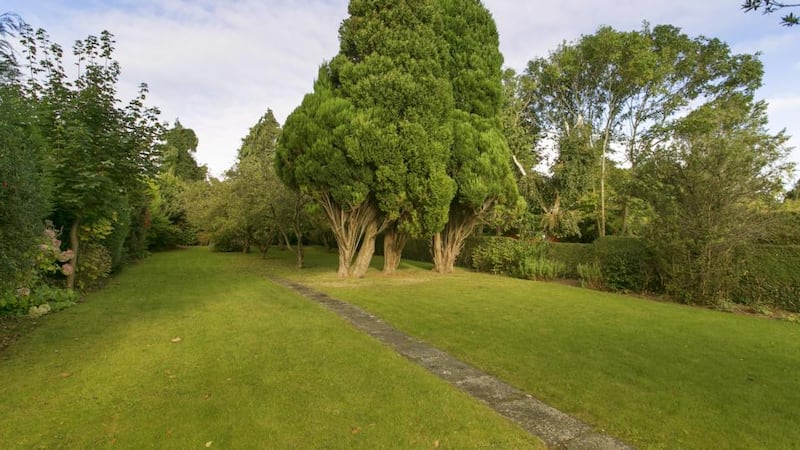 Generous garden at 14 Brewery Road, Stillorgan