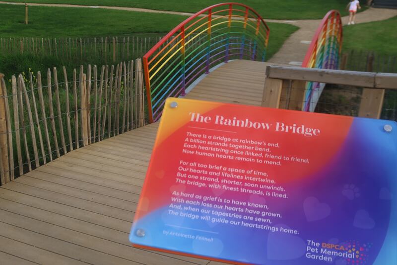 The rainbow bridge is the imaginary place pets cross over into the next life after they die