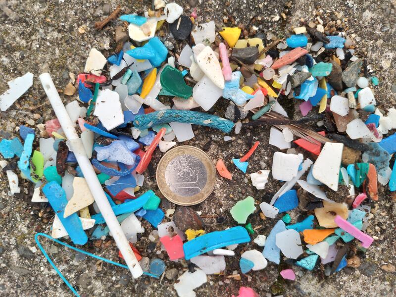 Plastic micro-litter in the form of nurdles found at Ballyteigue Burrow in Co Wexford during the Coastwatch autumn survey. Photograph: Therese Maddock