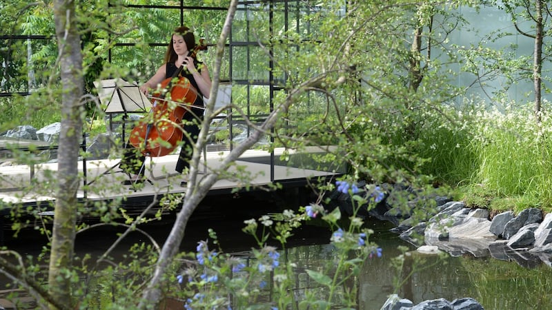 Cellist  Jenny Dowdall playing in FBD Insurance’s Transition designed by Oliver and Liat Schurmann, at a preview of Bord Bia’s Bloom. Photograph: Dara Mac Dónaill/The Irish Times