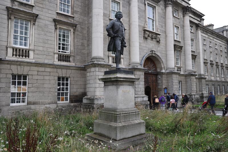 The Burke statue at Trinity College. Photograph: Nick Bradshaw